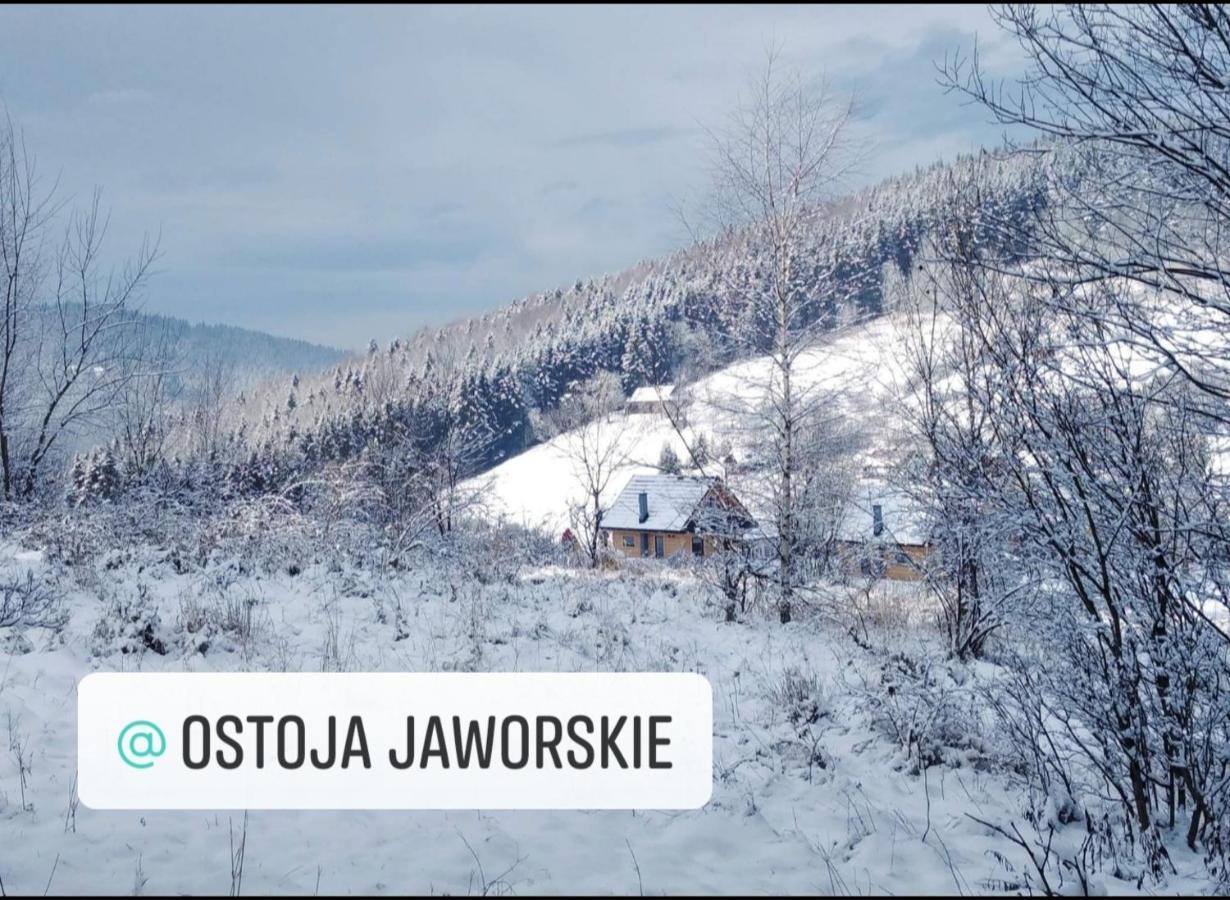 Ostoja Jaworskie Stryszawa Εξωτερικό φωτογραφία